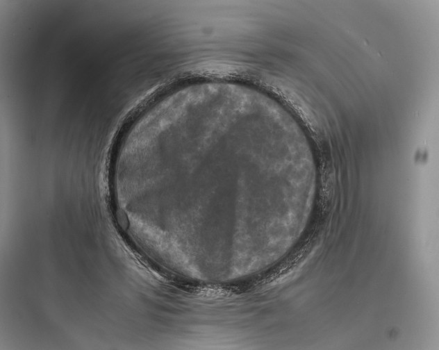 X0000097600399200803211704
