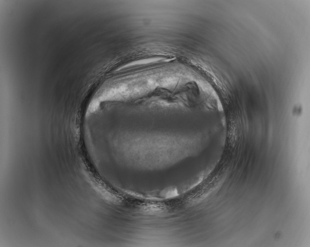 X0000097600402200803211704