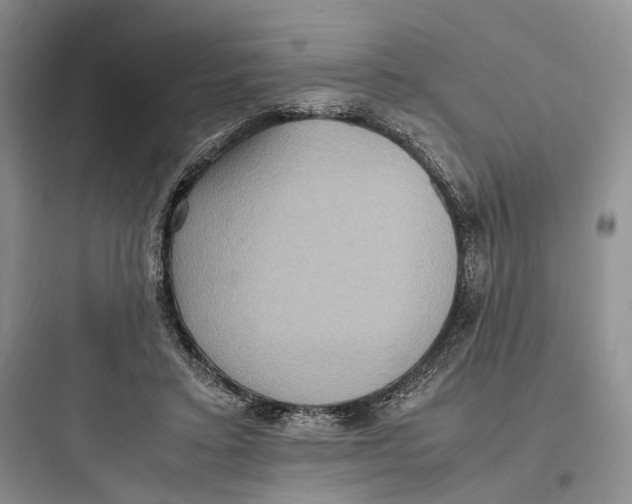 X0000097600403200803211704