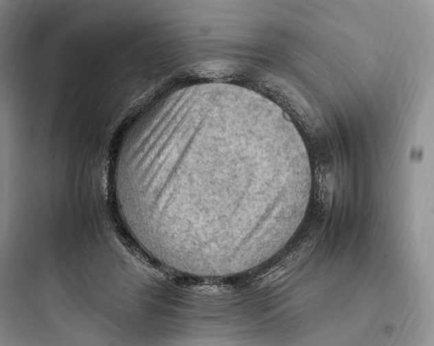 X0000097600404200803211704