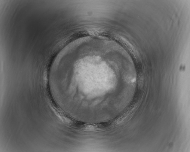 X0000097600405200803211704