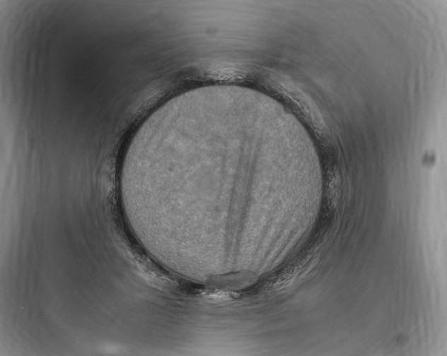 X0000097600407200803211704