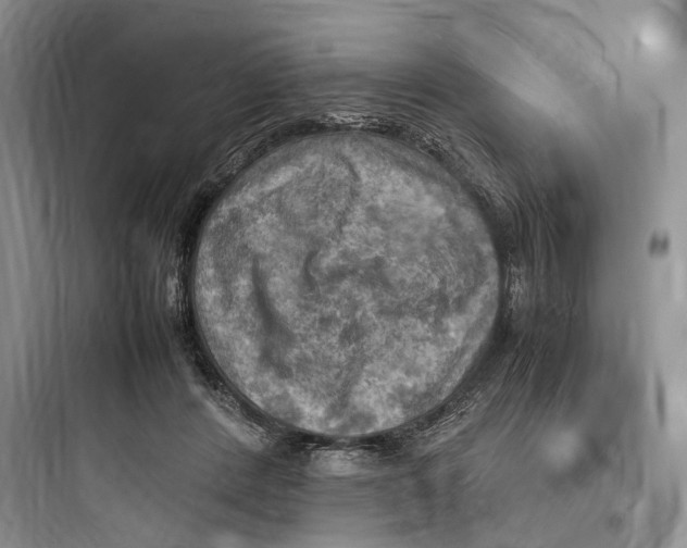 X0000097600408200803211704