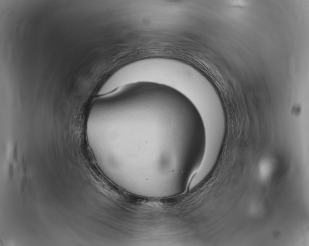 X0000097600409200803211704