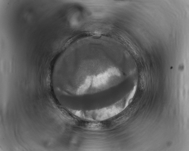 X0000097600410200803211704