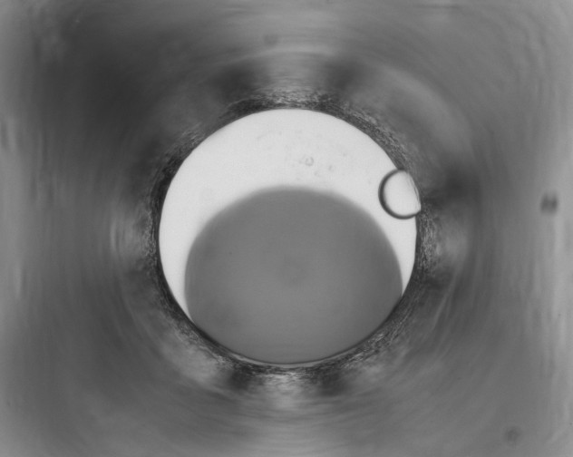 X0000097600411200803211704