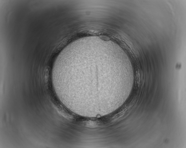X0000097600412200803211704