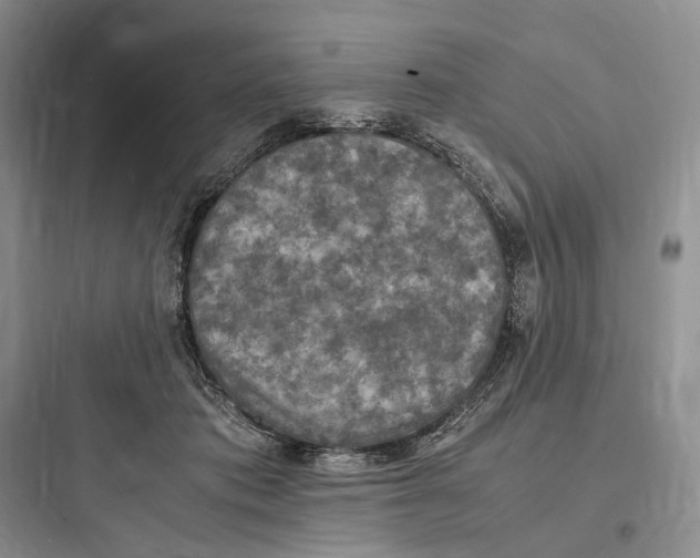 X0000097600413200803211704