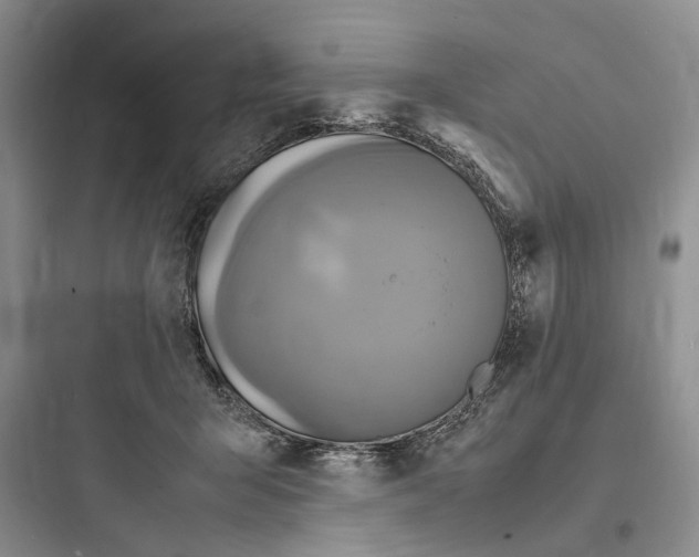 X0000097600415200803211704