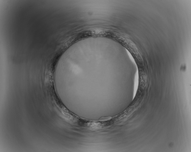 X0000097600419200803211704