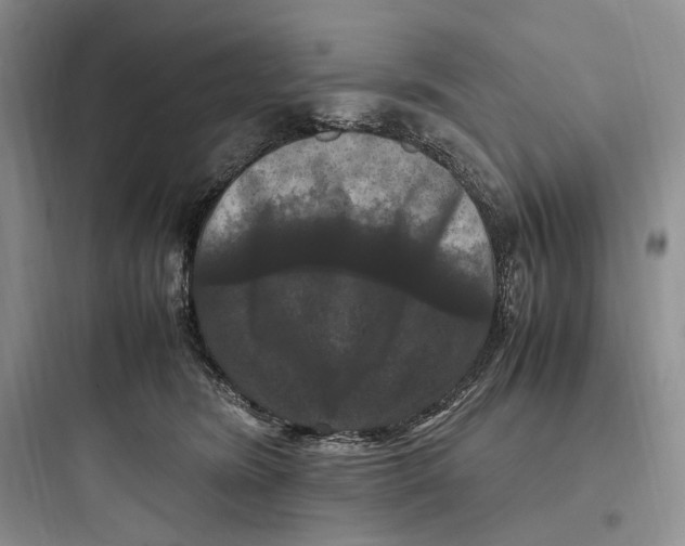 X0000097600420200803211704