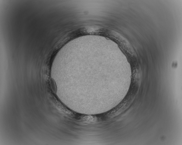 X0000097600421200803211704