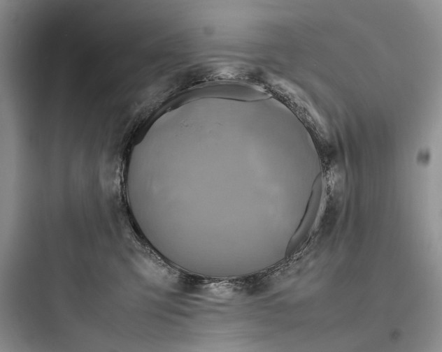 X0000097600423200803211704