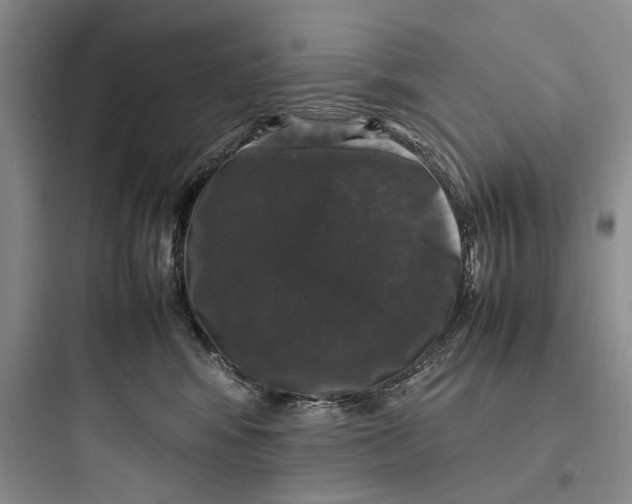 X0000097600424200803211704