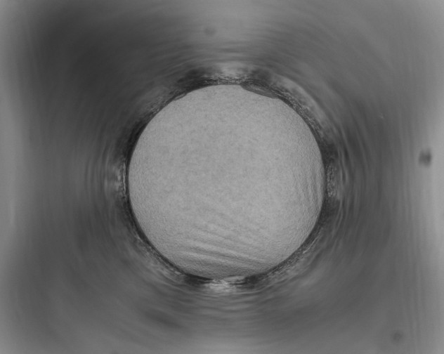 X0000097600425200803211703