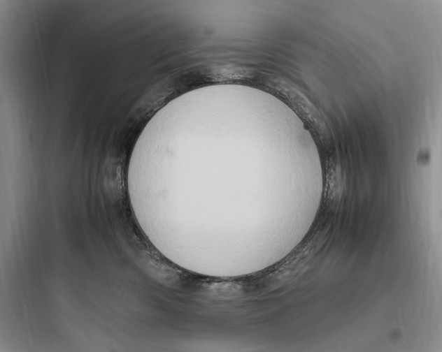 X0000097600426200803211703