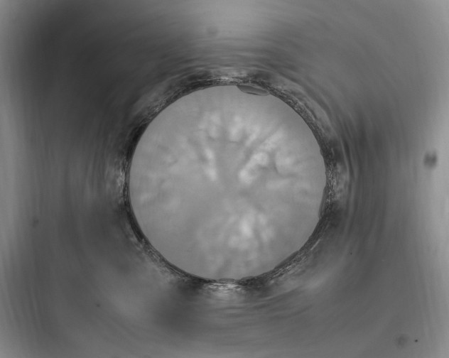 X0000097600427200803211703
