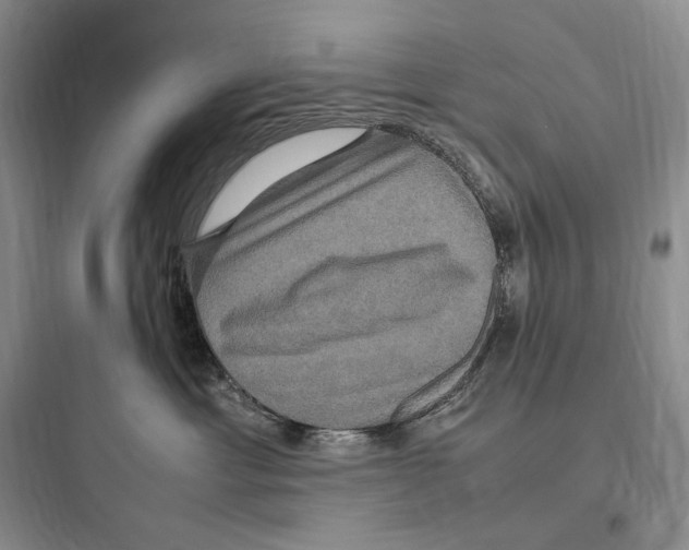 X0000097600429200803211703
