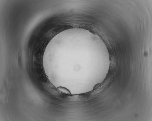X0000097600430200803211703