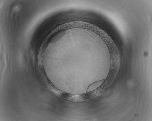 X0000097600431200803211703