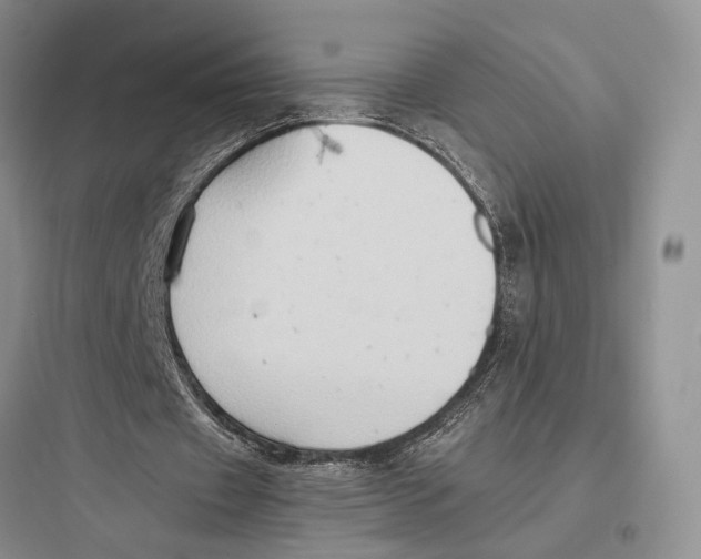 X0000097600433200803211703