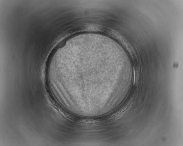 X0000097600435200803211703