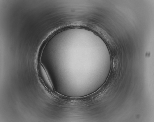 X0000097600436200803211703