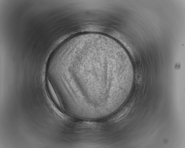 X0000097600437200803211703