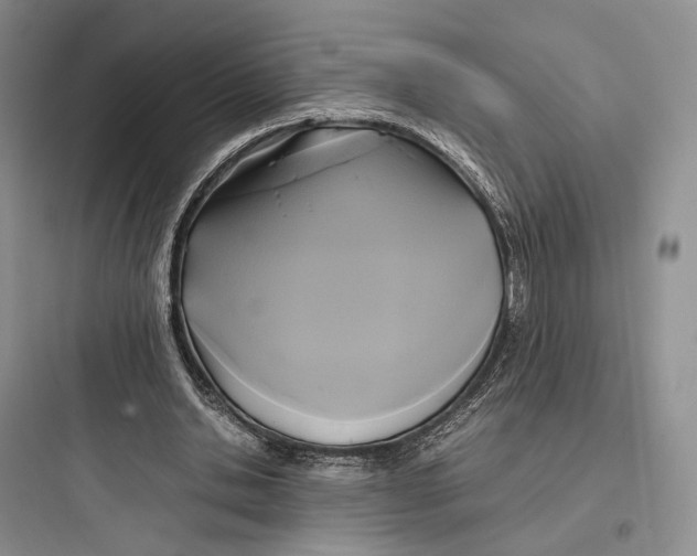 X0000097600438200803211703