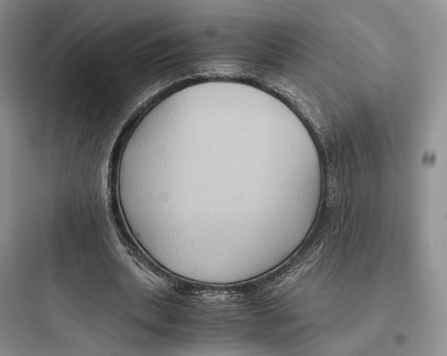 X0000097600439200803211703