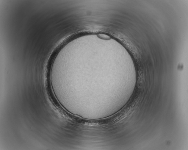 X0000097600440200803211703