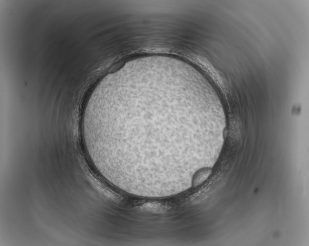 X0000097600441200803211703