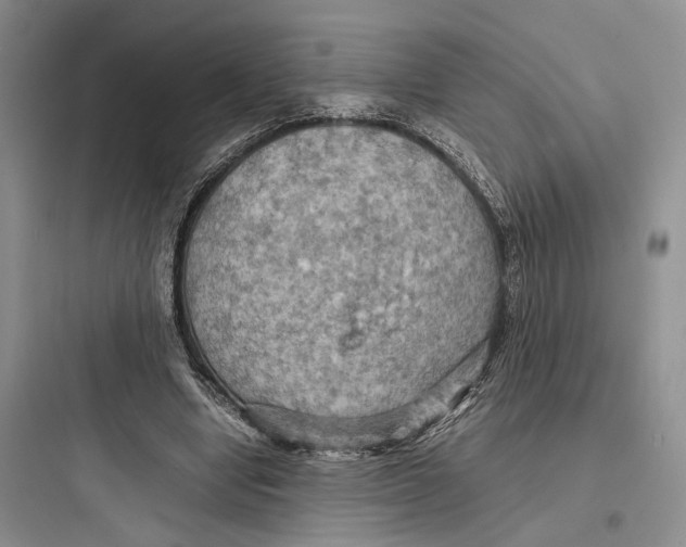 X0000097600442200803211703