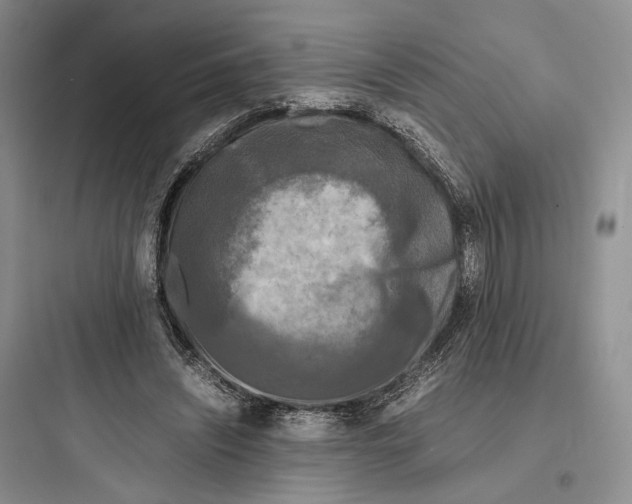 X0000097600444200803211703