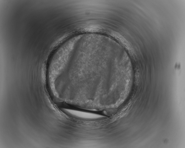 X0000097600446200803211703