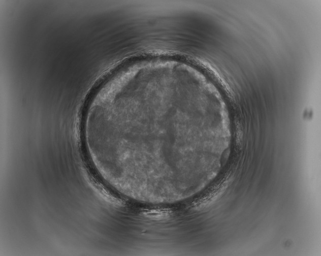 X0000097600447200803211703