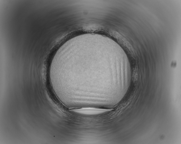 X0000097600448200803211703