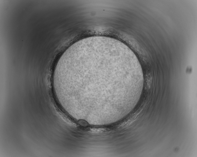 X0000097600450200803211703