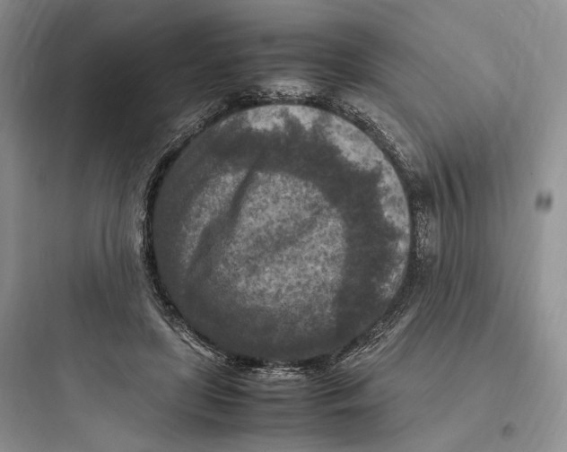 X0000097600451200803211703