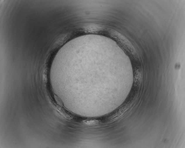 X0000097600452200803211703