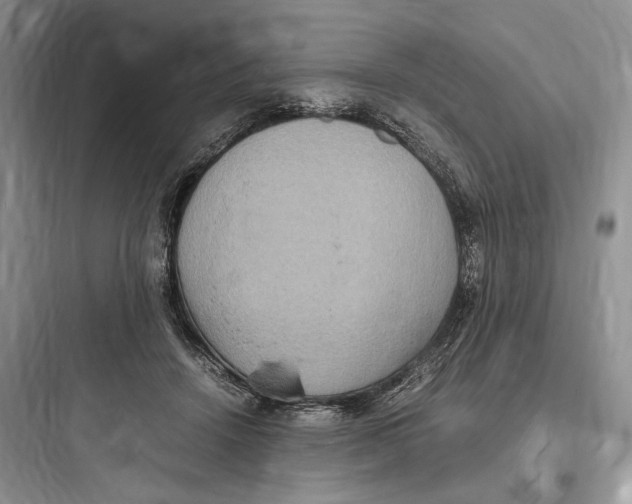 X0000097600456200803211703