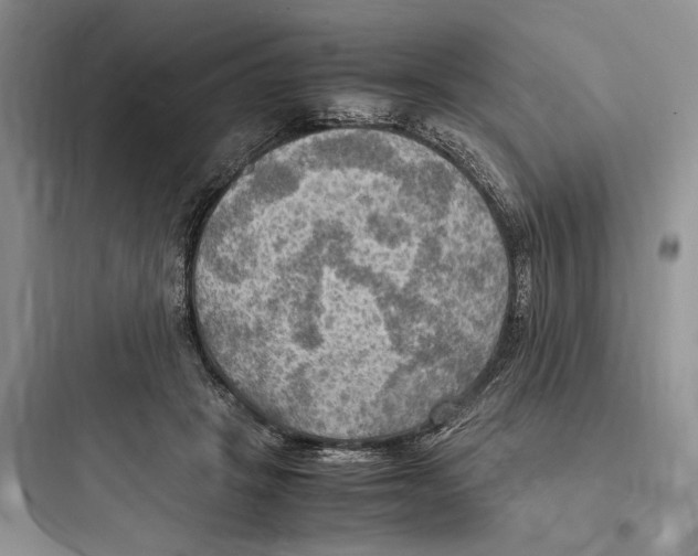X0000097600457200803211703