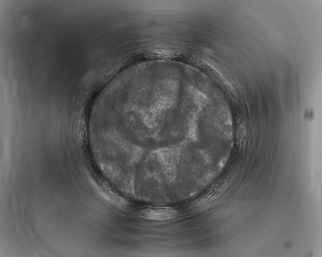 X0000097600459200803211703