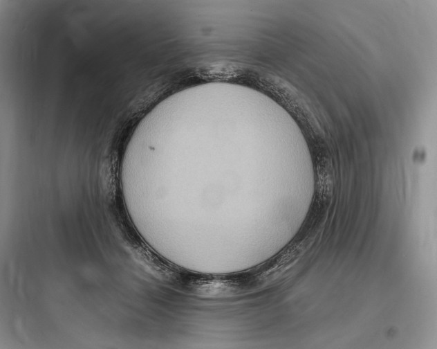 X0000097600460200803211703