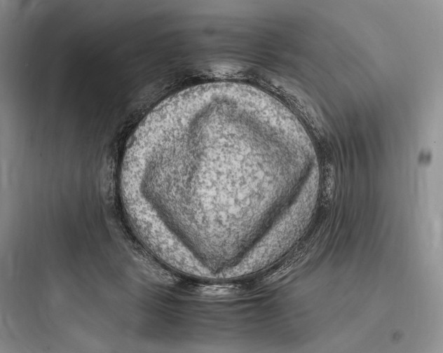 X0000097600461200803211703