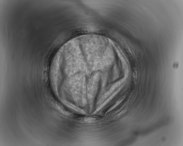 X0000097600462200803211703