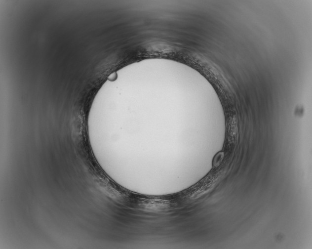 X0000097600463200803211703