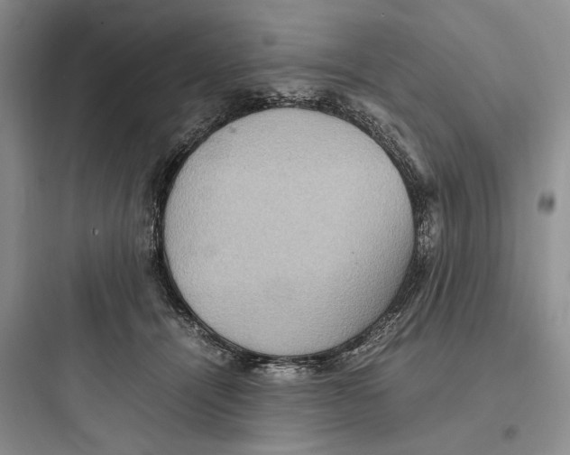 X0000097600464200803211703