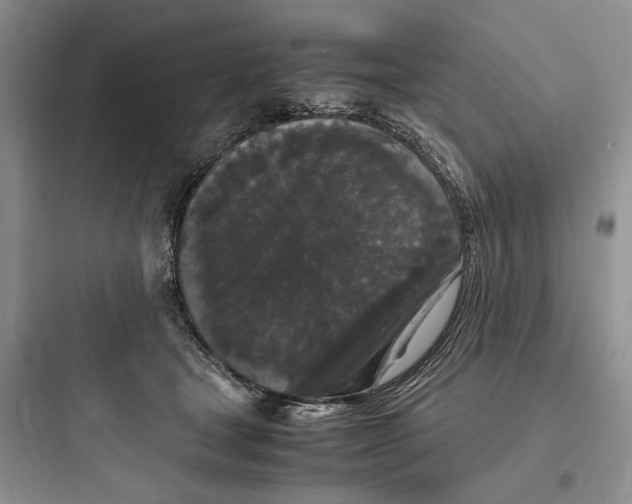 X0000097600465200803211703