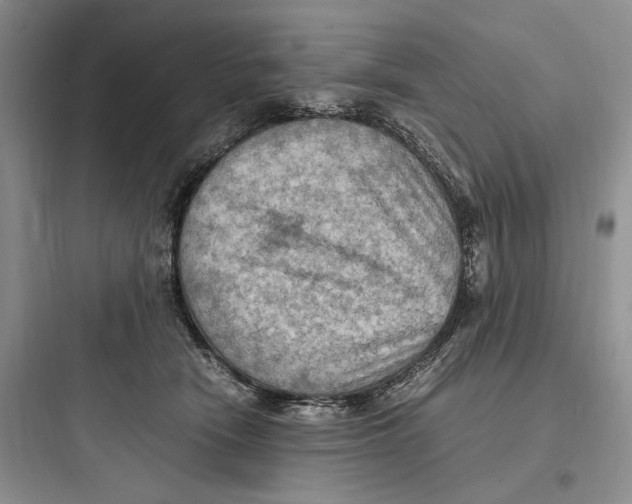 X0000097600466200803211703